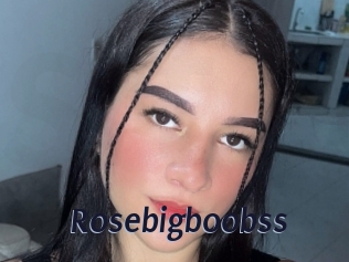 Rosebigboobss