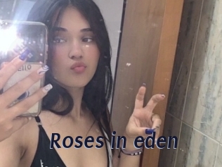 Roses_in_eden