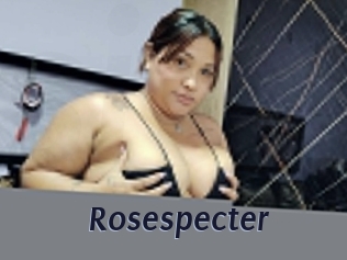 rosespecter Site Cul
