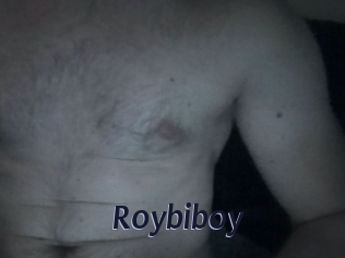 roybiboy Site Cul