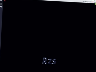 Rzs