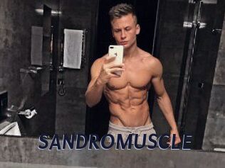 SANDRO_MUSCLE