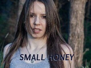 SMALL_HONEY