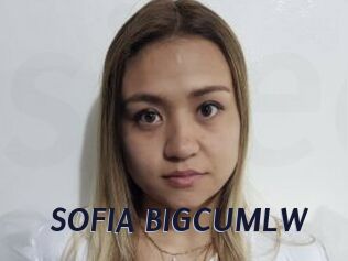 SOFIA_BIGCUMLW