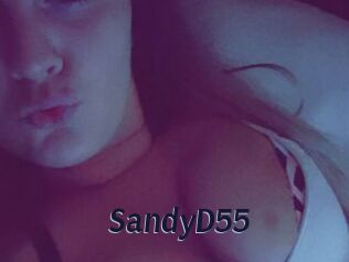 SandyD55
