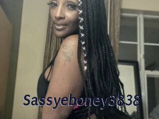 Sassyeboney3838