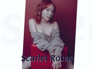 Scarlet_Rouse