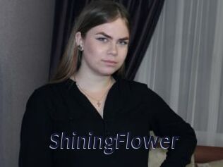 ShiningFlower