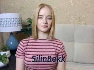 SilinBekk