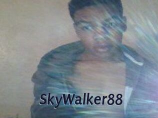 SkyWalker88