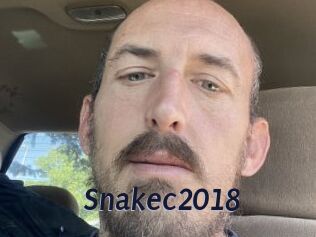 Snakec2018