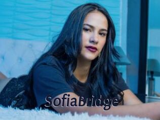 SofiaBridge