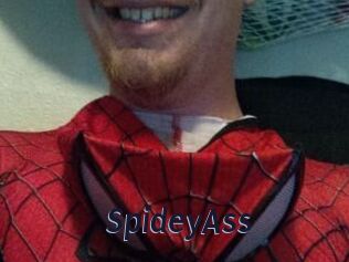SpideyAss