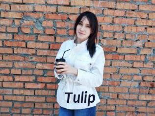 Tulip