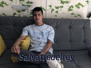 salvatredelrey Site Cul