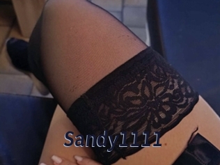 Sandy1111