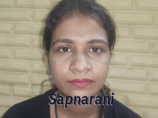 sapnarani Site Cul