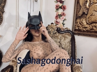 Sashagodonghai