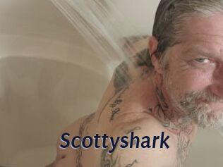 Scottyshark