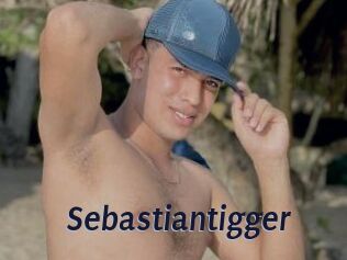 Sebastiantigger