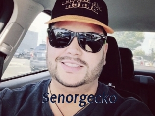 senorgecko Site Cul