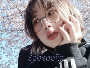 Seosoojin