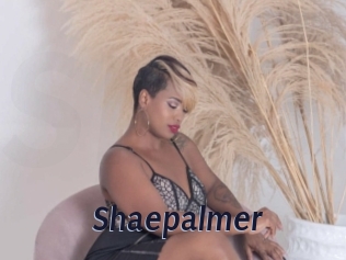 Shaepalmer