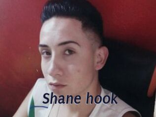 Shane_hook