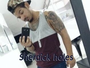 Sherdick_holes