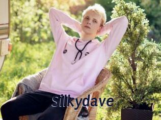 Silkydave
