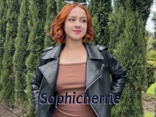 Sophicherrie