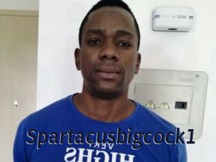 Spartacusbigcock1