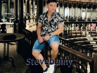 stevebunny Site Cul