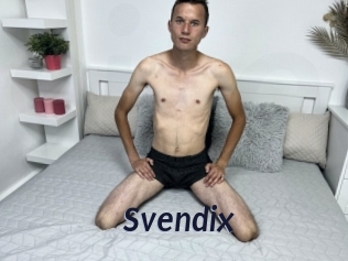 Svendix