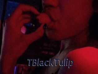 TBlackTulip