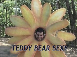 TEDDY_BEAR_SEXY