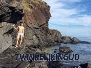 TWINKELIKINGUD