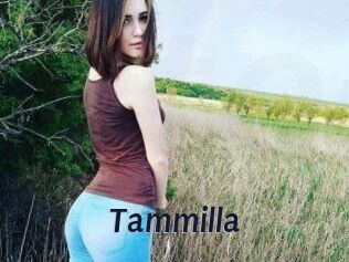 Tammilla_