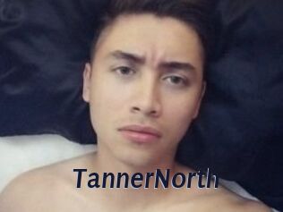 TannerNorth Site Cul