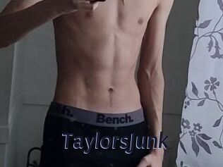 TaylorsJunk