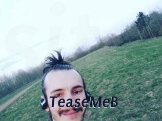 TeaseMeB