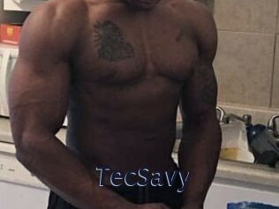 TecSavy