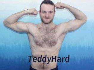 TeddyHard Site Cul