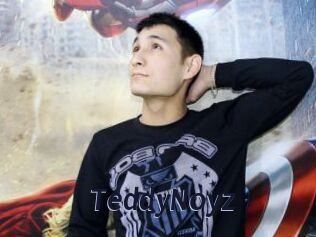 TeddyNoyz