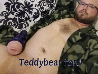 Teddybear_forU