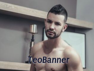 TeoBanner
