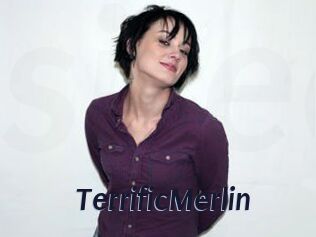 TerrificMerlin