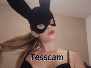 Tesscam