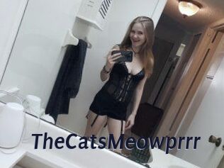 TheCatsMeowprrr