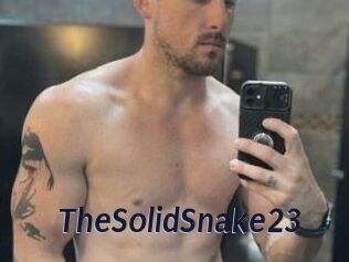 TheSolidSnake23
